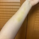 에프엠시 하루 | 3월. 다음달도 요번달 만큼만 멀쩡하길(개강 첫달 소감)