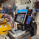 봉암동 버스정류소앞 | 멕시코 칸쿤 체드라위마켓 후기(가는법, 쇼핑리스트, 버스, 택시)