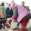 시종5일시장 이미지