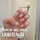네일드누아 | 동탄네일샵 네일드누아 동탄호수공원 네일 5월 이달의아트 후기