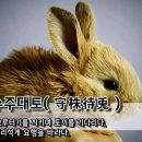 그루터기 이미지