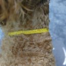 다민동물병원 이미지