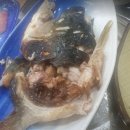 목포낙지마을 이미지