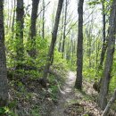 진산자연휴양림 이미지