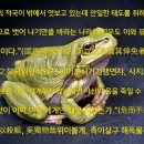 파장 이미지