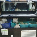 현덕로 | 안중 맛집] 생생정보·오늘N 인증된 34년 전통 '고향의 집' 삼계탕과 한방오리해신탕 솔직후기(내돈내산)