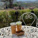 천안시풍세면미죽보건진료소 | 천안 벚꽃 카페 야외 테라스까지 풍세커피 진짜 너무 좋아요