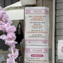 [서울/마포] B급 반려용품 플리마켓, 제 8회 댕이득마켓 방문 후기