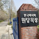 원당목장 | 날씨좋은 봄에 서울근교가볼만한곳 “원당종마목장” 방문 후기