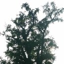 유명산공인중개사사무소 이미지