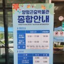 양평곤충박물관 | [양평아이와가볼만한곳]양평곤충박물관 후기
