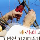 주식회사 토양과나무