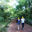 비자림스마일 이미지