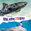 댕글댕글 이미지