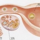 아틀라스동물의료센터 네이버블로그