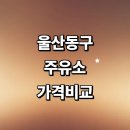 한마음세차장 | 울산 동구 근처 주유소 추천 정보 가격비교 농협 고급유 주유카드 신용카드