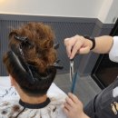 고센하우스 이미지