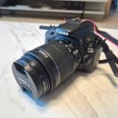 EOS조명 | 입문용 DSLR 캐논 EOS 100D 첫 사용, 코뉴어·금화조 촬영 후기