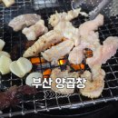 부산양곱창 | 김해 부원 노포의 정석 연탄불 양곱창 부산양곱창 추천 후기