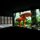 백남준 아트센터 이미지