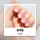 두암동물병원 | 광주 두암동 설네일 인생 첫 네일샵 문제성 발톱 교정 방문 추천