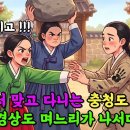 동네에서 맞고 다니는 충청도 시동생, 불같은 경상도 며느리가 나서다..! | 야담 | 옛날이야기 | 민담 | 수면동화 | 오디오북 이미지