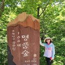 낙원화원 - 서초구 강남대로 27 | 강원도 인제 천상의 화원 곰배령 방문 후기(곰배령 배경사진 많음)