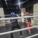 광교S2복싱다이어트 이미지