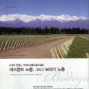 Re:샤또 라퐁 로쉐(Chateau Lafon-Rochet) & 노통, 프리바다 (Norton, Privada) 이미지