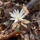 신현대자원