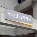 빨간모자달팽이 이미지