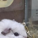 몬스타주 이미지