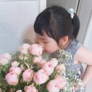 장미산업 | 🌹 세계 여성의 날, 나를 위한 '장미' 한 잔! 돌체구스토 네오(NEO) 쿠팡체험단 리얼 후기