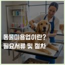 동물미용업 영업등록신청 | 동물미용업이란? 필요서류 및 절차