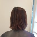 옐로우씨 이미지