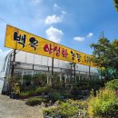 백옥농장 이미지