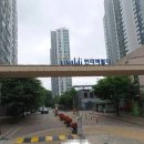 동백바로크음악학원 이미지
