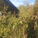 감사 태양광발전소 이미지