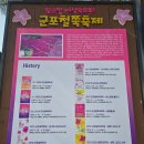 군포-산본-2003 | 2026 군포 철쭉축제 후기: 철쭉동산 가는 길! 철쭉구경! 중앙 그네 전망대! 동산 안 포토존! 철쭉공원...