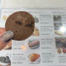 허브로틴