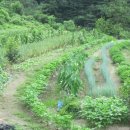 다품종소량생산