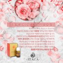 애플바디힐링 이미지