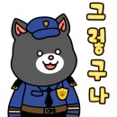 시장꽃도소매 이미지