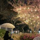 북면오리탕 김해점(자연농원) 이미지