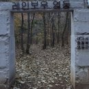 허대구 대구통닭 진천점 이미지