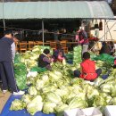 야훼이레 이미지