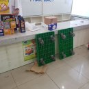파스텔약국 이미지