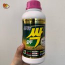 노지하우스 이미지