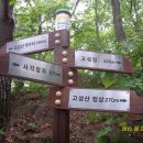 직지초교 이미지