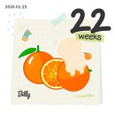 협진중기 | 임산부 B형 독감 증상 독감약 타미플루 괜찮을까? 22주차 산부인과 독감 수액 맞고 온 후기